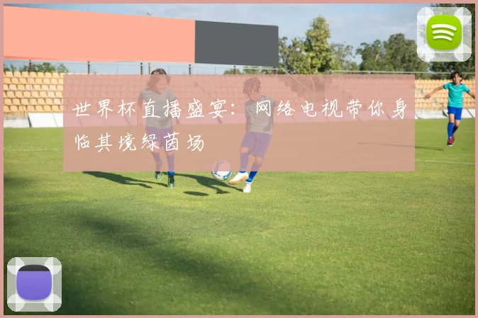 世界杯直播盛宴：网络电视带你身临其境绿茵场