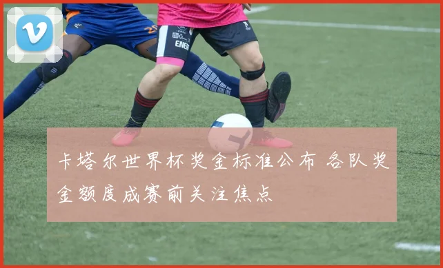 卡塔尔世界杯奖金标准公布 各队奖金额度成赛前关注焦点