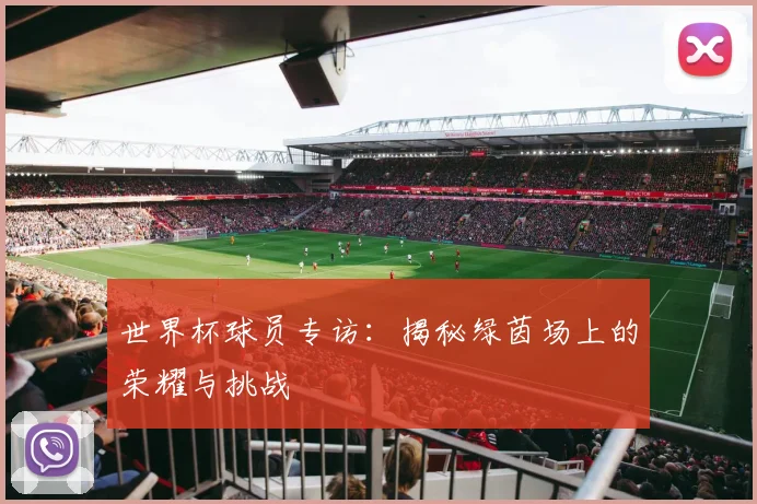 世界杯球员专访：揭秘绿茵场上的荣耀与挑战