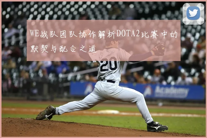 WE战队团队协作解析DOTA2比赛中的默契与配合之道