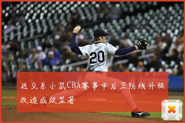 近交系小鼠CBA赛事中后卫防线升级改造成效显著