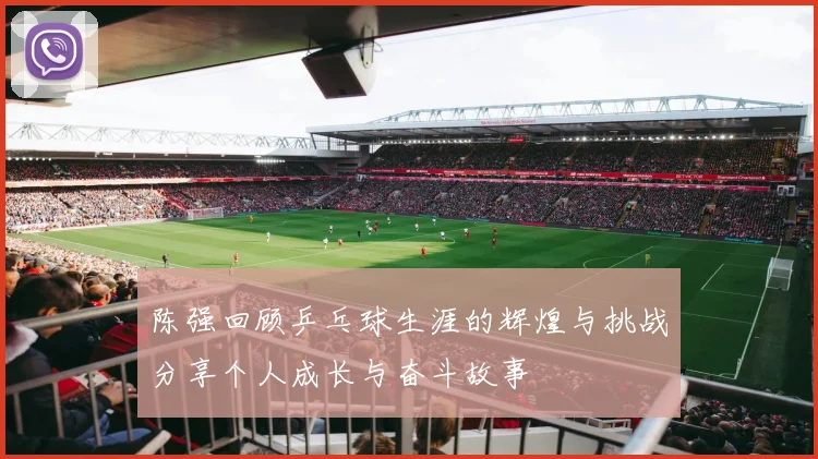 陈强回顾乒乓球生涯的辉煌与挑战分享个人成长与奋斗故事