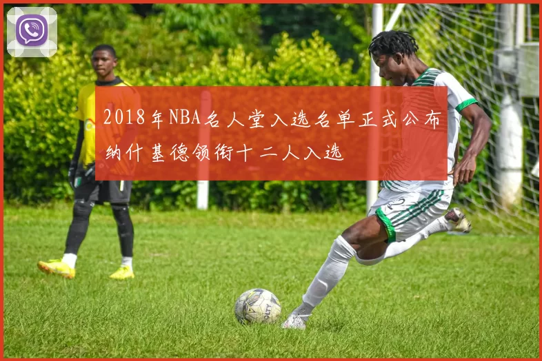 2018年NBA名人堂入选名单正式公布纳什基德领衔十二人入选