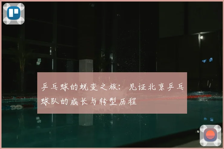 乒乓球的蜕变之旅：见证北京乒乓球队的成长与转型历程