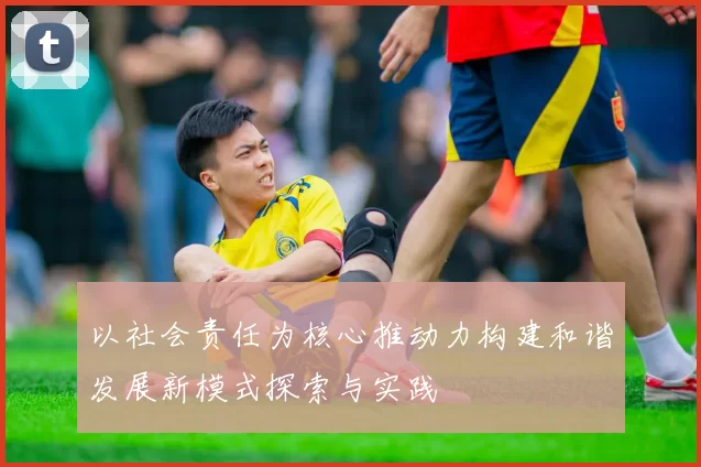 以社会责任为核心推动力构建和谐发展新模式探索与实践
