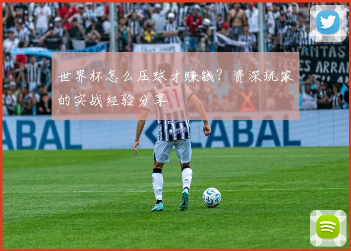 世界杯怎么压球才赚钱？资深玩家的实战经验分享