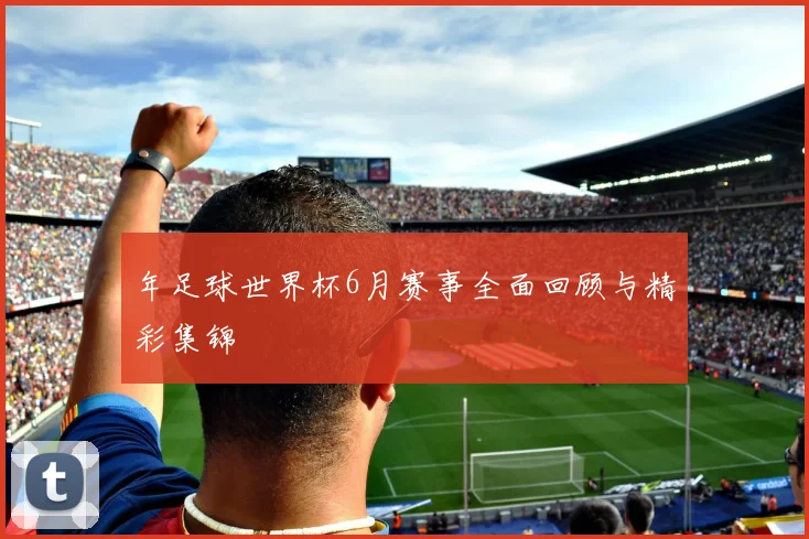 年足球世界杯6月赛事全面回顾与精彩集锦