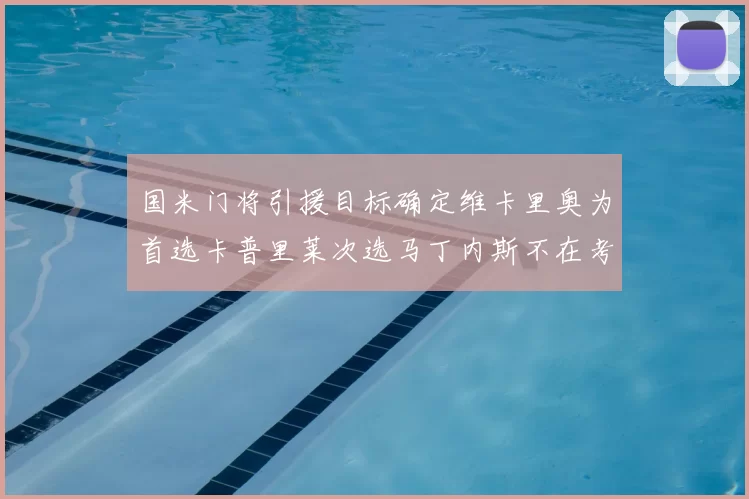 国米门将引援目标确定维卡里奥为首选卡普里莱次选马丁内斯不在考虑之中