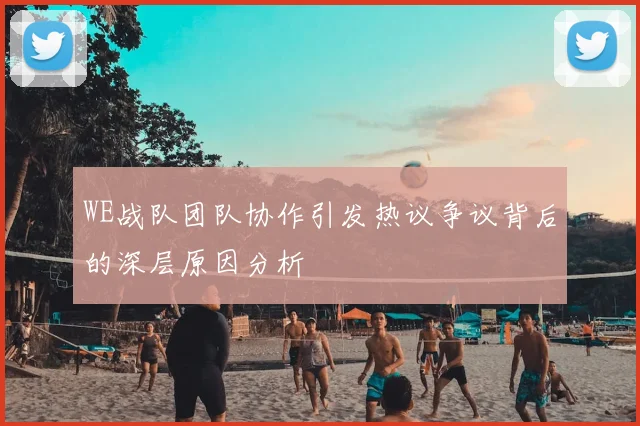 WE战队团队协作引发热议争议背后的深层原因分析