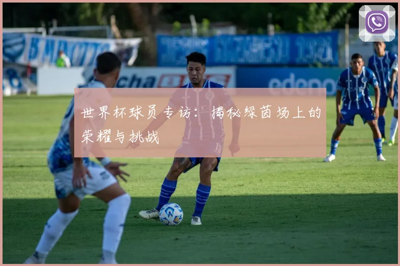 世界杯球员专访：揭秘绿茵场上的荣耀与挑战