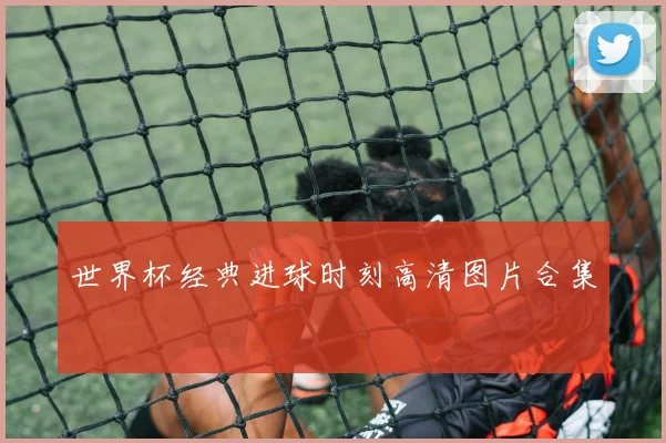 世界杯经典进球时刻高清图片合集